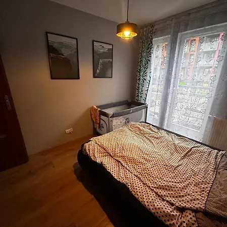 Szalwiowa * Wrocław